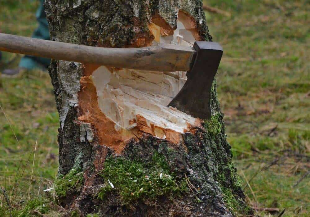 felling axe in tree